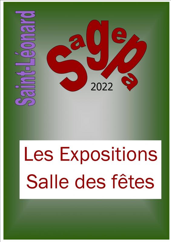 site-pour-sagepa-2